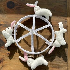Pottery Barn Bunny Crib Mobile and Arm